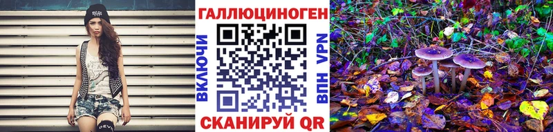 kraken ссылки  Фурманов  Псилоцибиновые грибы Psilocybe  купить наркотики цена 