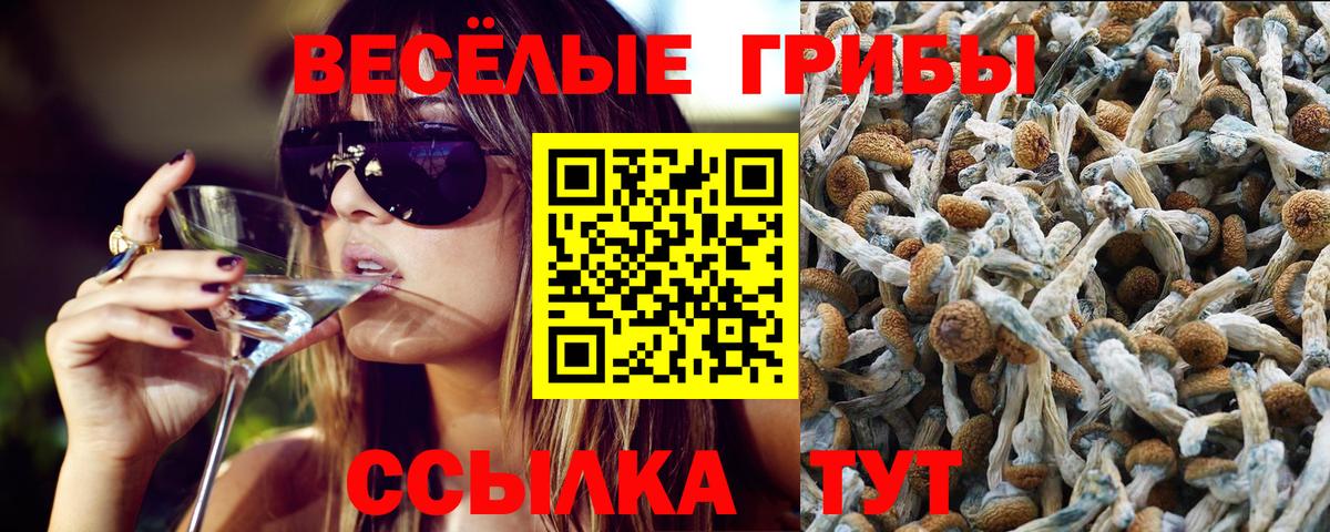 Галлюциногенные грибы Magic Shrooms  Псилоцибиновые грибы Psilocybe  Вход с VPN  наркота  Фурманов 
